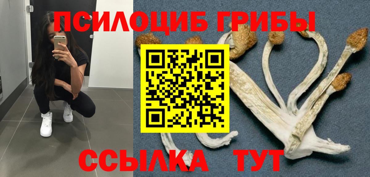 Псилоцибиновые грибы прущие грибы Алатырь