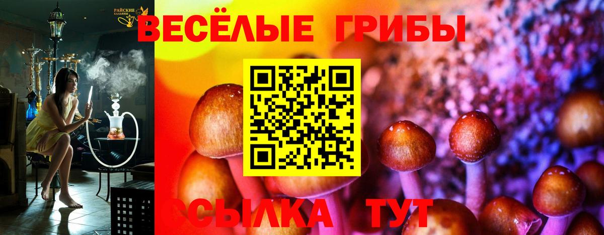 продажа наркотиков  Вход с VPN  Алатырь  Псилоцибиновые грибы мицелий 